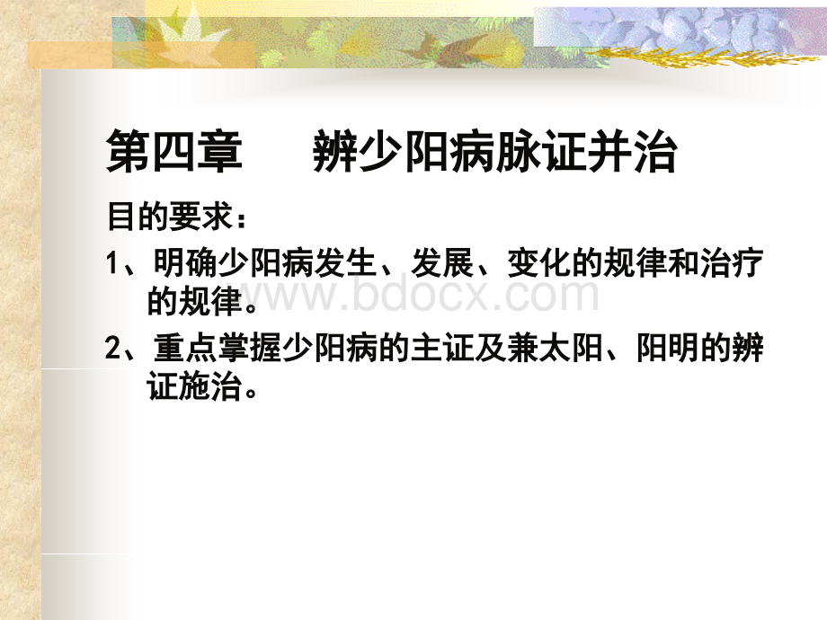 辨少阳病脉证并治.ppt