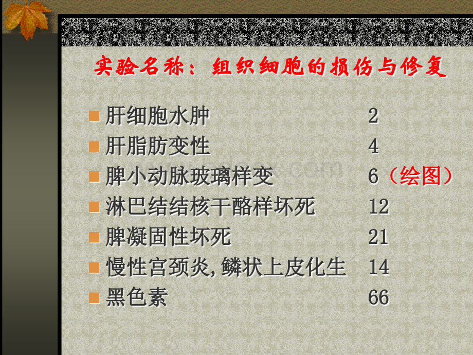 第一学期实验切片PPT资料.ppt