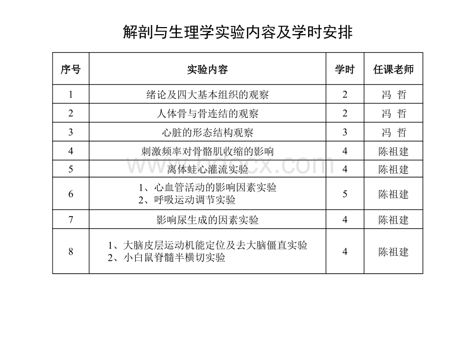 四大基本组织的观察PPT文档格式.ppt_第1页