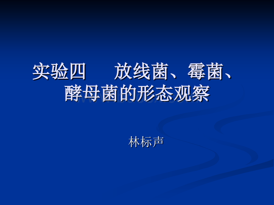 微生物实验四放线菌、霉菌、酵母菌的形态观察PPT格式课件下载.ppt_第1页