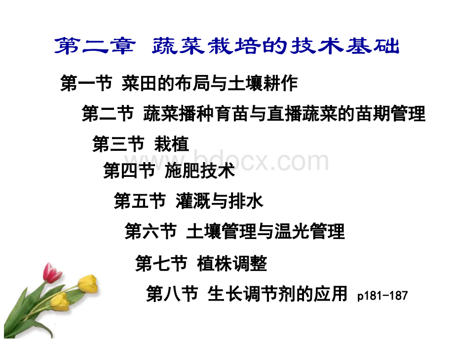 蔬菜栽培的技术基础.ppt_第2页