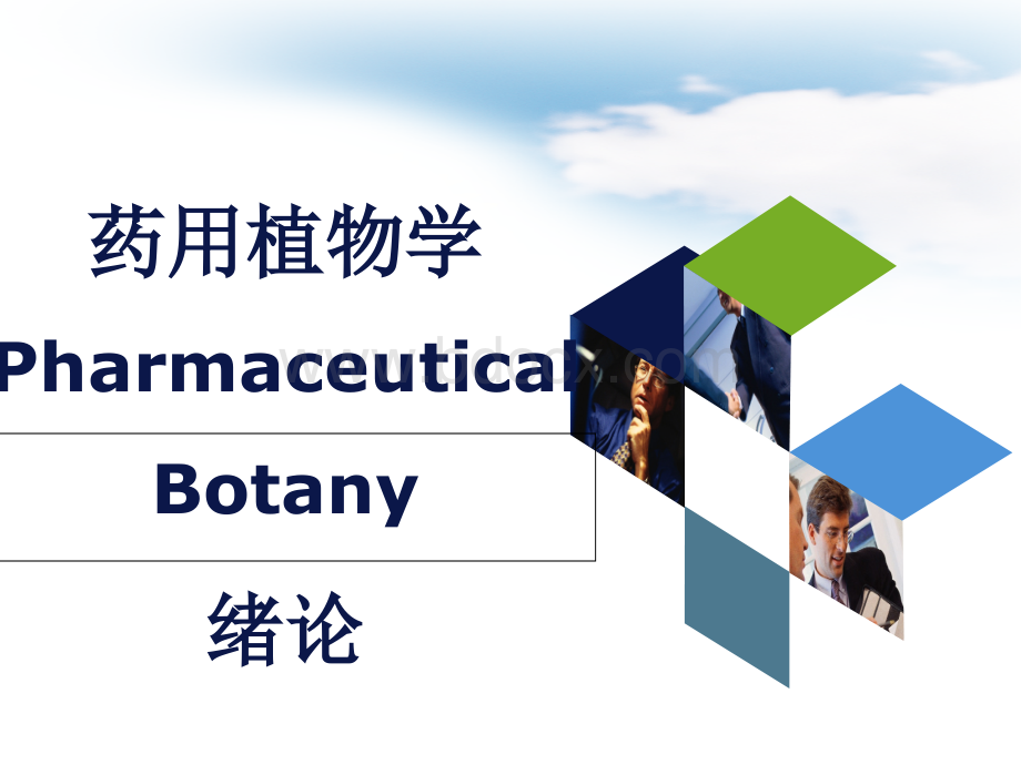 药用植物学课件.ppt_第1页