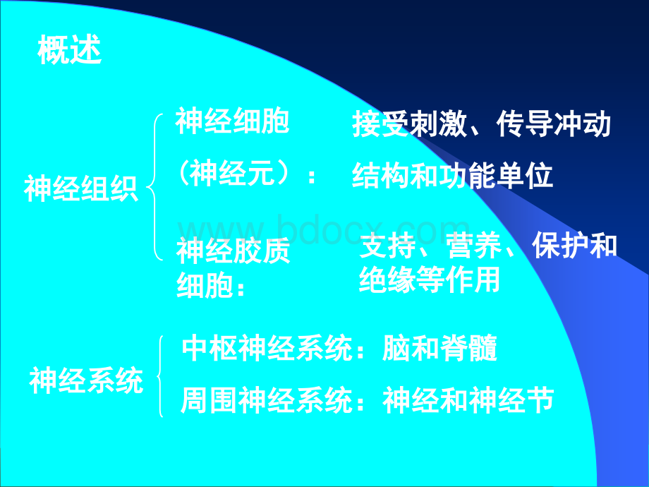 神经组织(徐医)组织胚胎学PPT文档格式.ppt_第2页