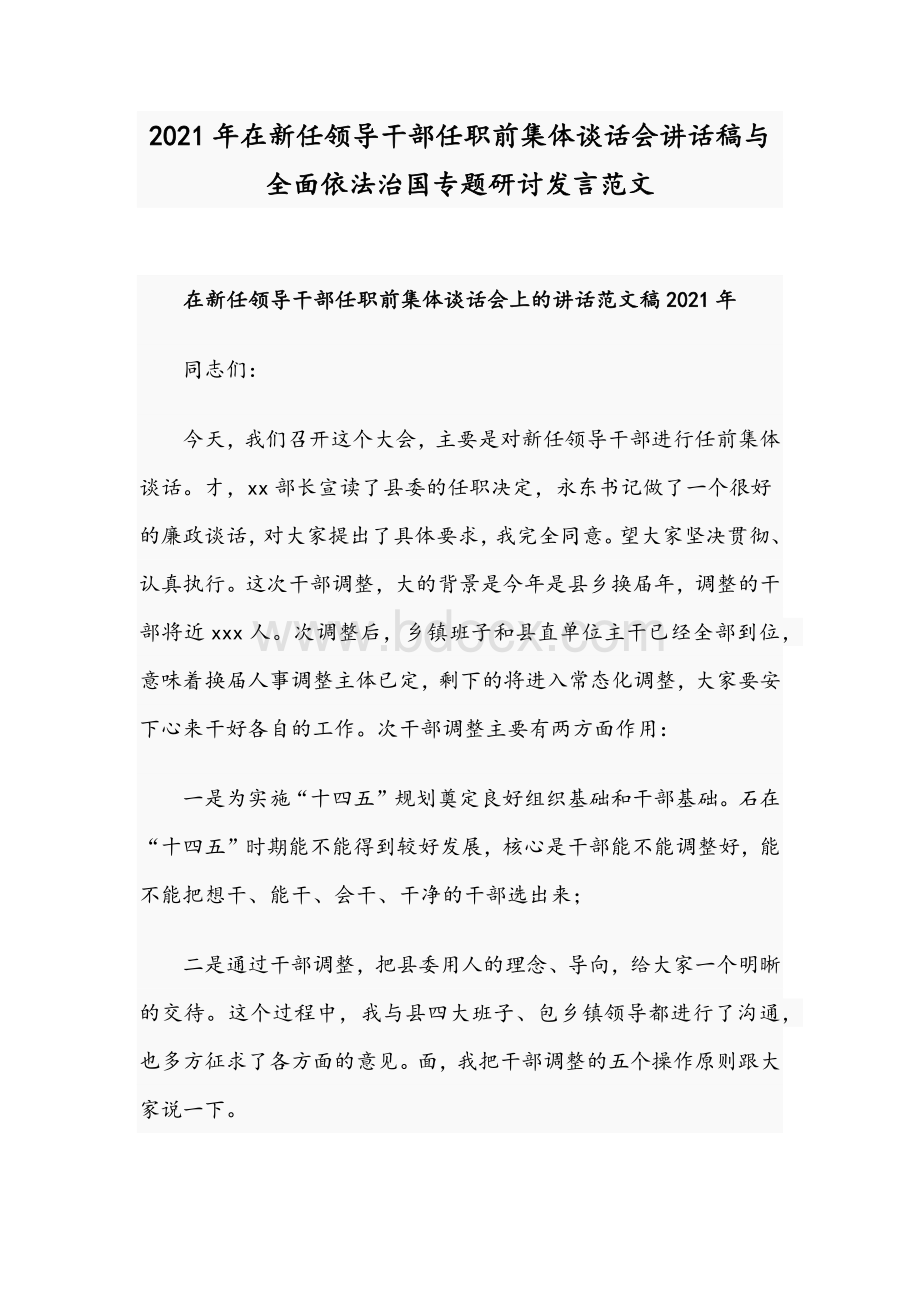 2021年在新任领导干部任职前集体谈话会讲话稿与全面依法治国专题研讨发言范文Word格式文档下载.docx