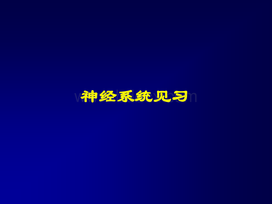 神经系统见习.ppt_第1页