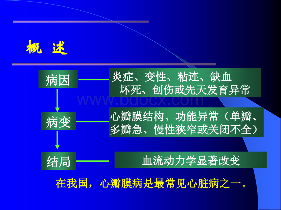 心脏瓣膜病讲稿-幻灯优质PPT.ppt_第2页