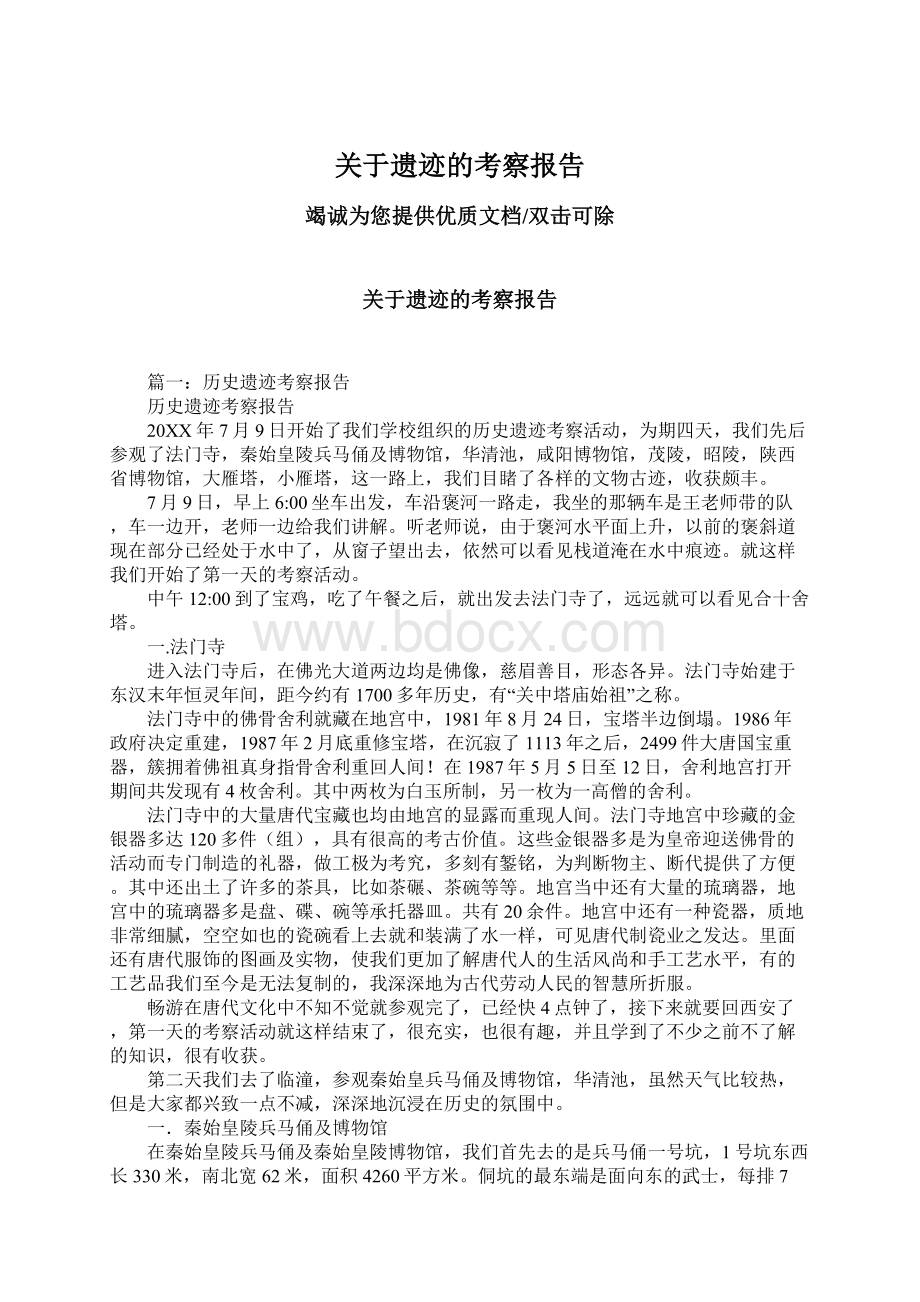 关于遗迹的考察报告文档格式.docx_第1页