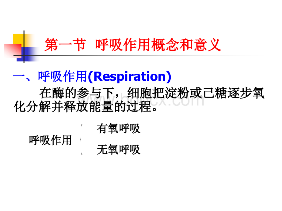 植物生理学之植物呼吸代谢.ppt_第3页