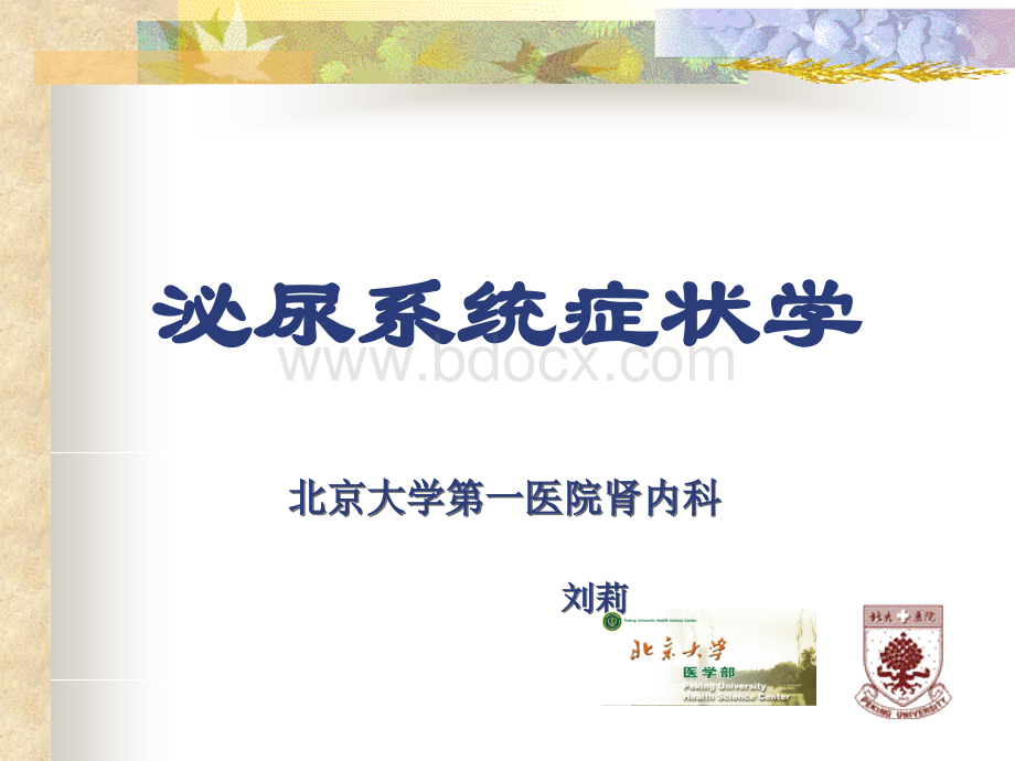 肾脏病症状学-刘莉优质PPT.ppt_第2页