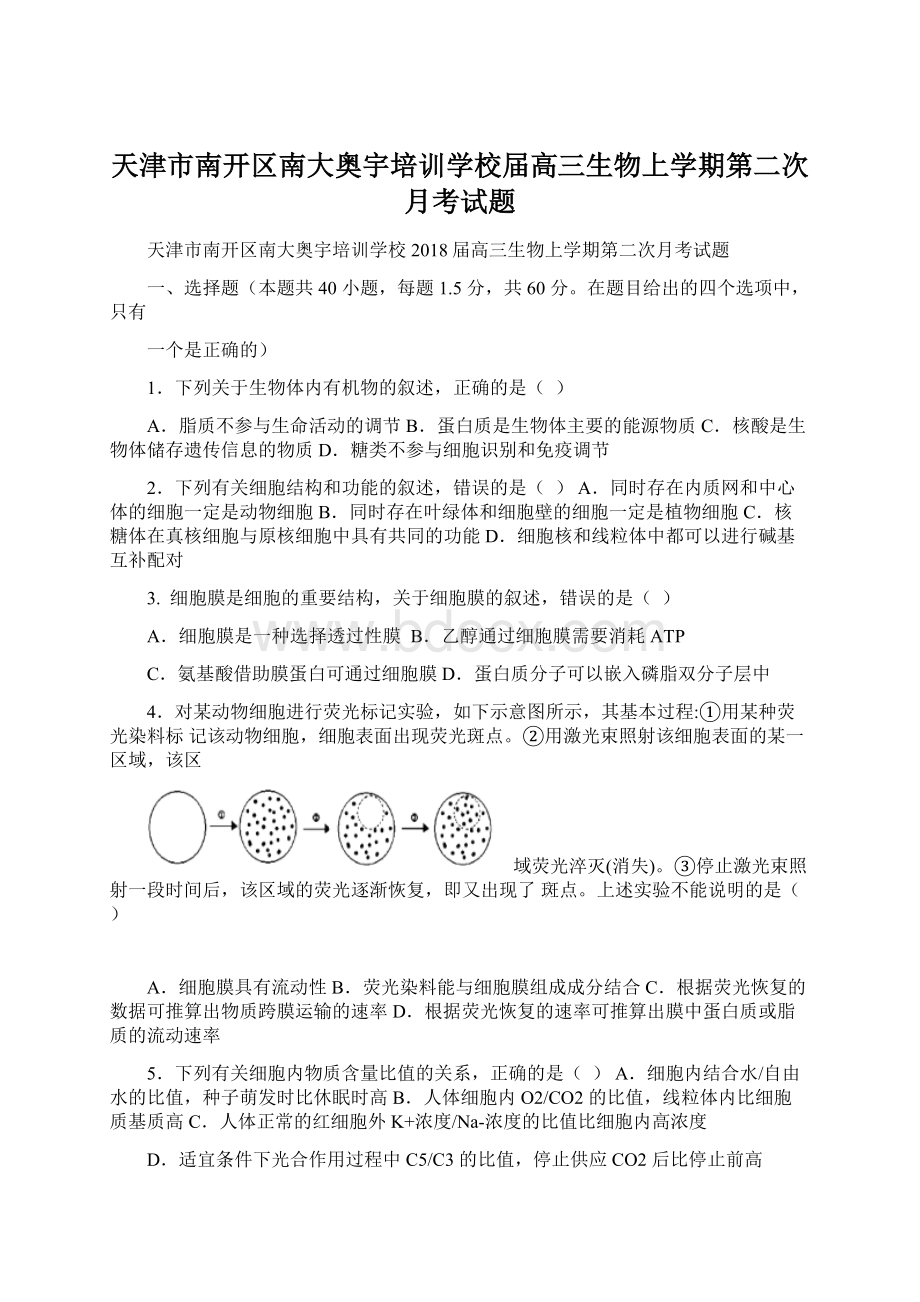 天津市南开区南大奥宇培训学校届高三生物上学期第二次月考试题Word下载.docx