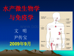 水产微生物学与免疫学免疫学基础.ppt