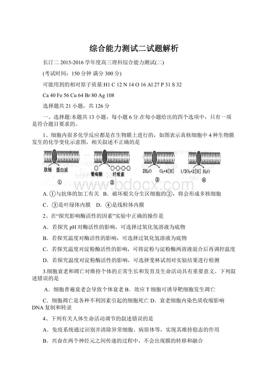 综合能力测试二试题解析Word文件下载.docx