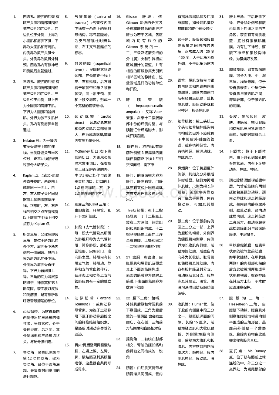 局部解剖重点Word格式.doc_第1页