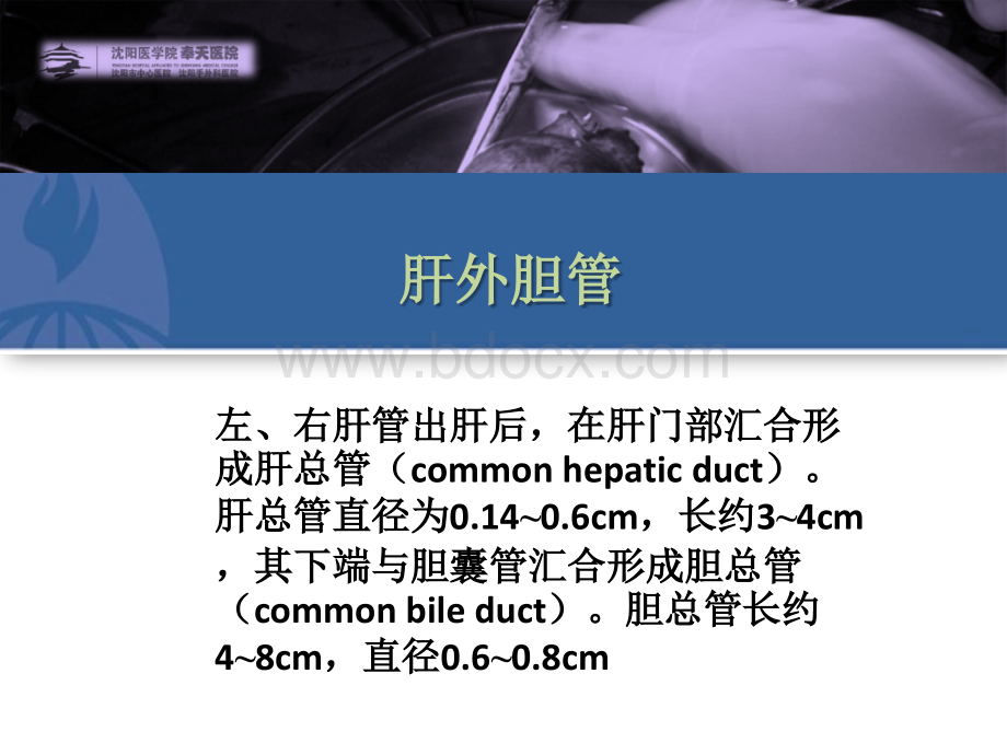 课件第四十三章胆道疾病.ppt_第3页