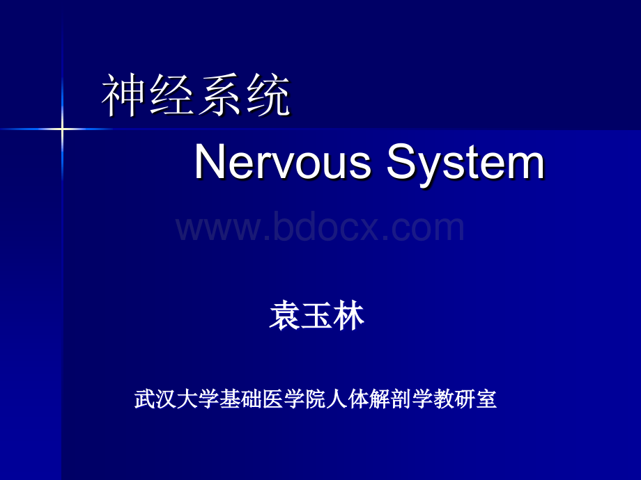 神经系统-药学(龚).ppt