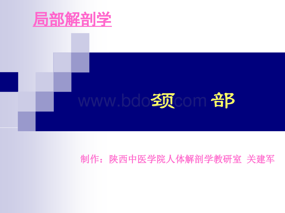 颈部pptPPT文件格式下载.ppt