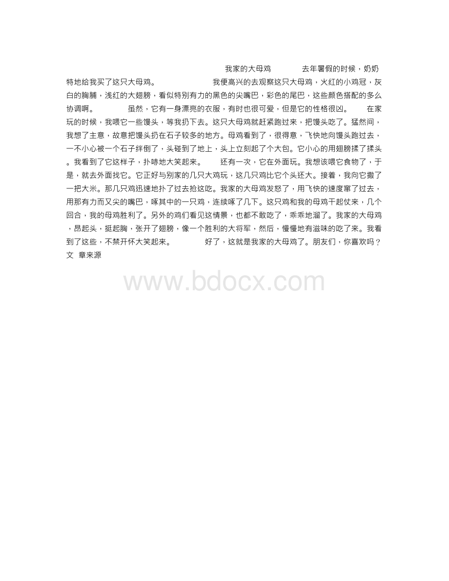 我家的大母鸡作文500字Word格式文档下载.doc_第1页