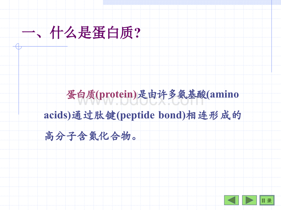 第01章蛋白质PPT资料.ppt_第2页