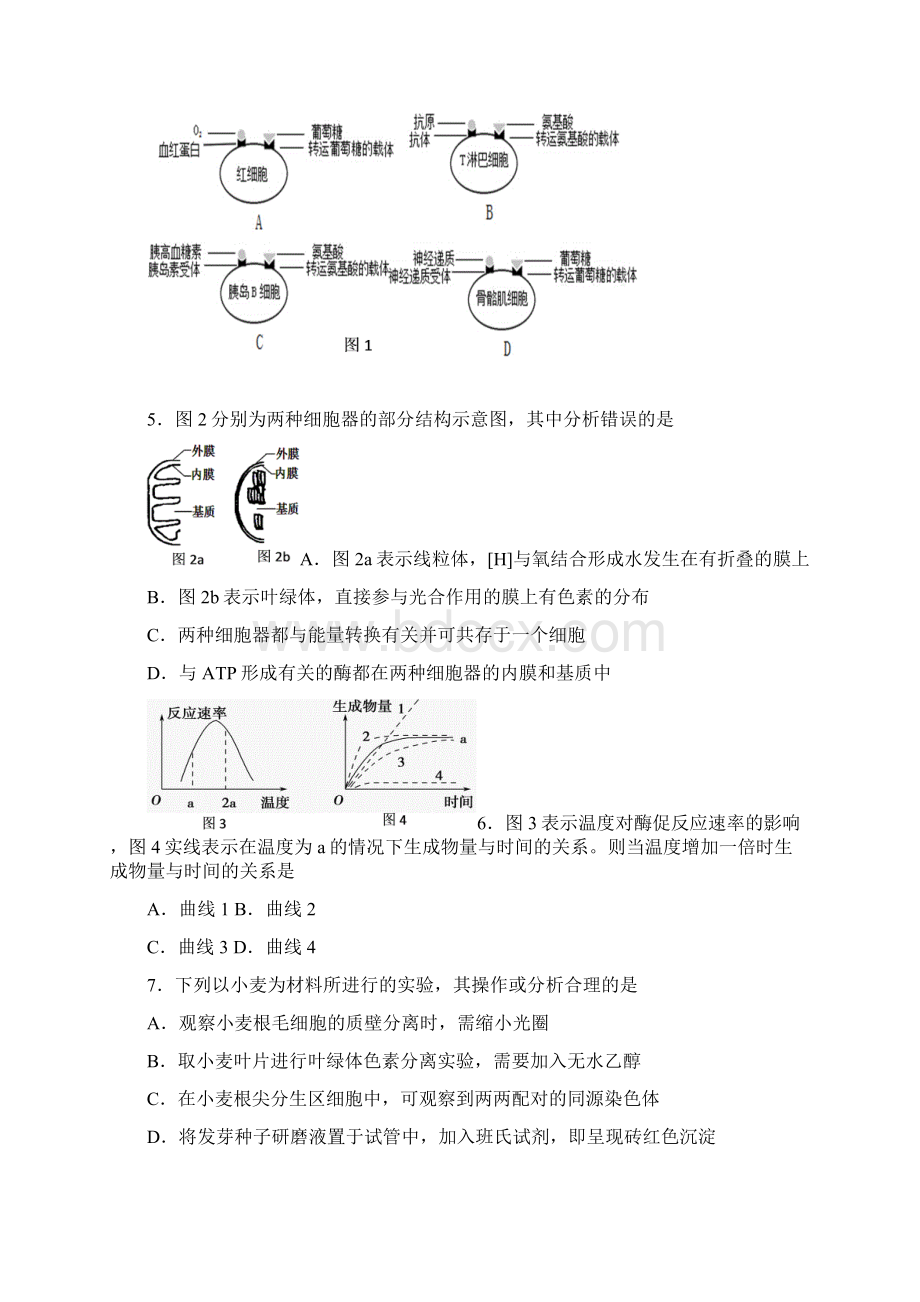 届上海市闸北区高三第二学期期中练习生物试题及答案精品推荐.docx_第2页