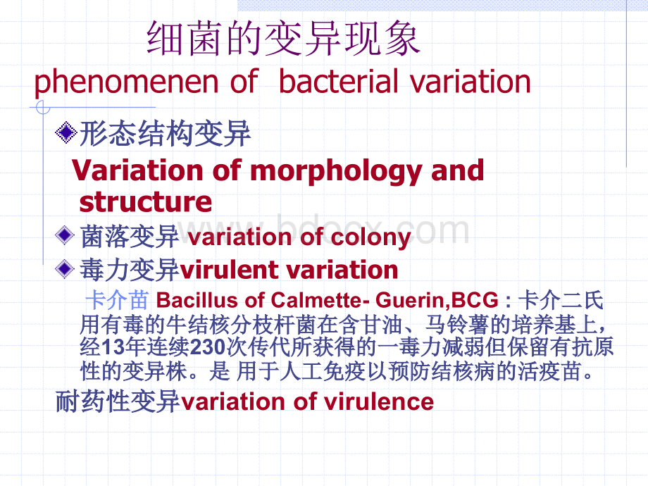 13细菌的遗传和变异.ppt_第3页