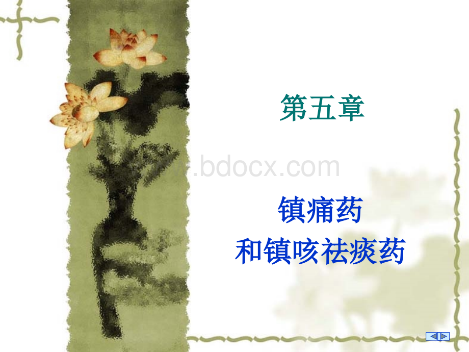 镇痛药及镇咳祛痰药.ppt