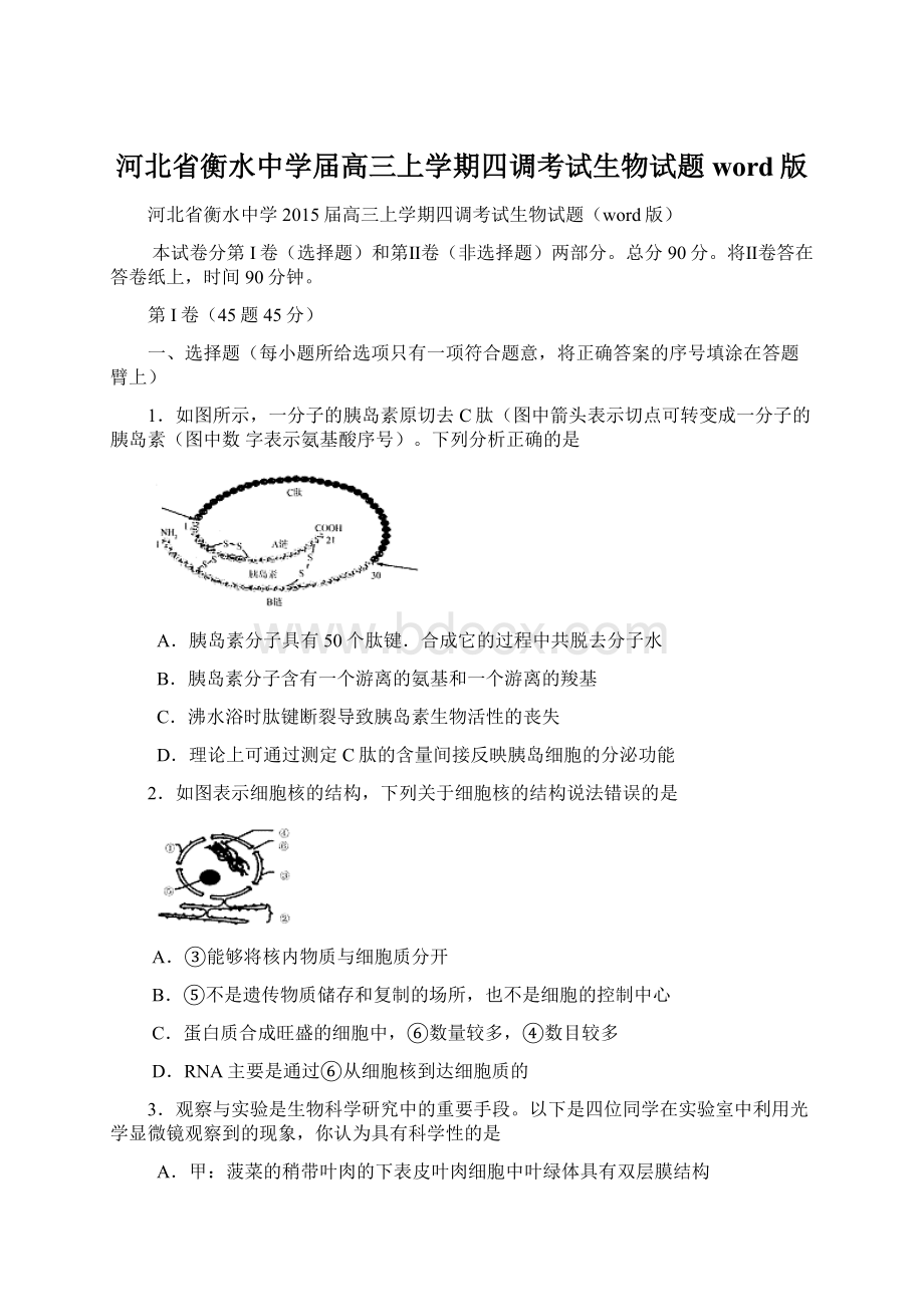 河北省衡水中学届高三上学期四调考试生物试题word版Word格式文档下载.docx