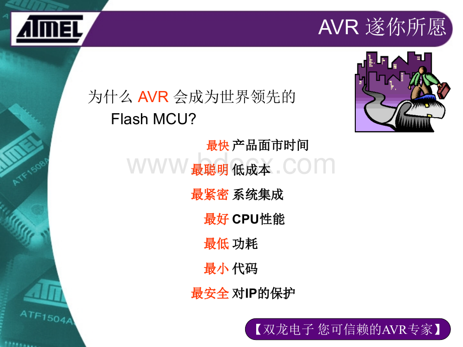 AVR产品介绍PPT文档格式.ppt_第2页