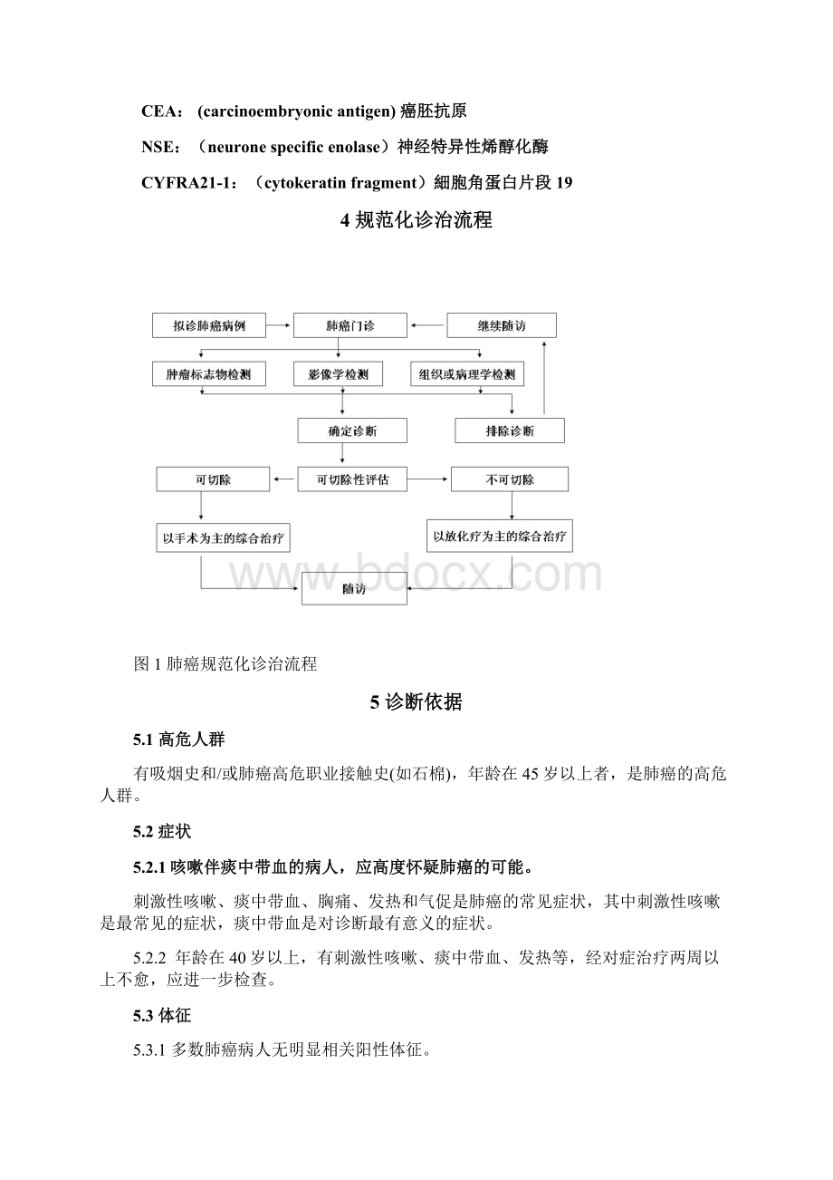 肺癌规范化诊治指南肺相关类.docx_第2页