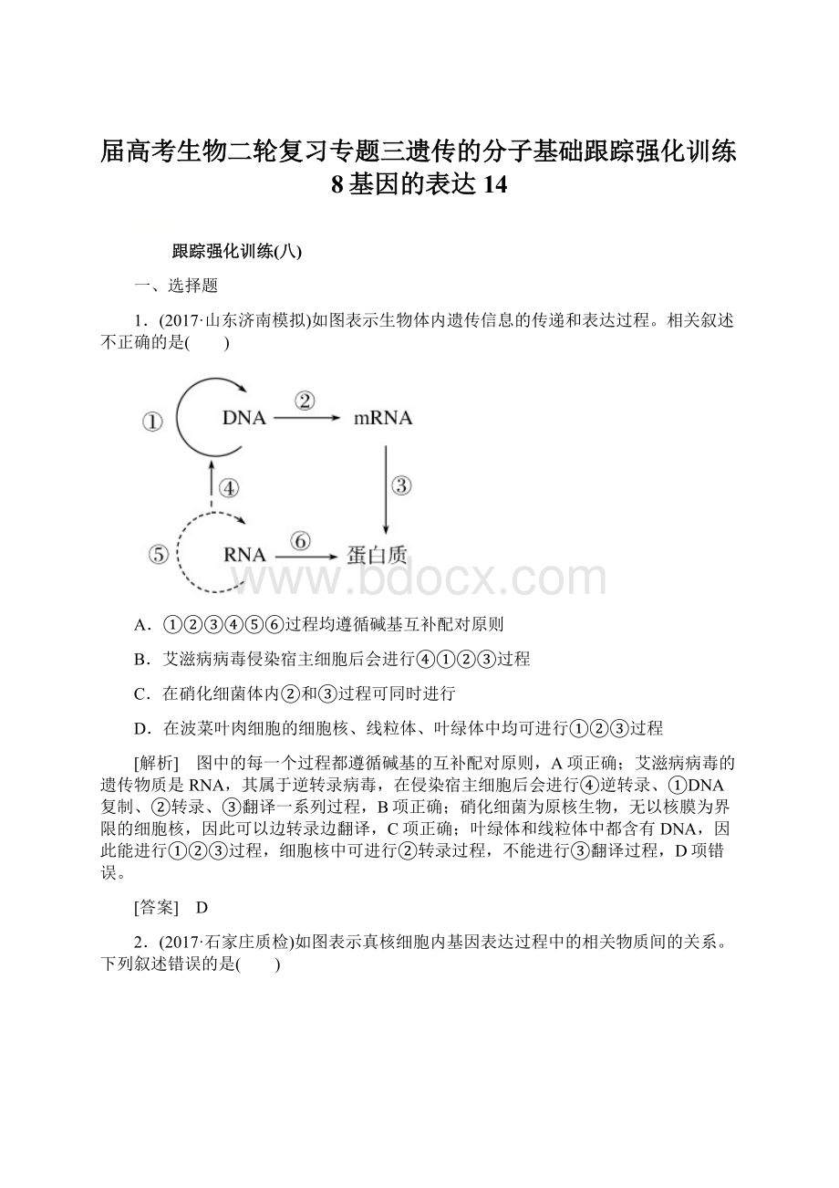 届高考生物二轮复习专题三遗传的分子基础跟踪强化训练8基因的表达14Word文档下载推荐.docx_第1页