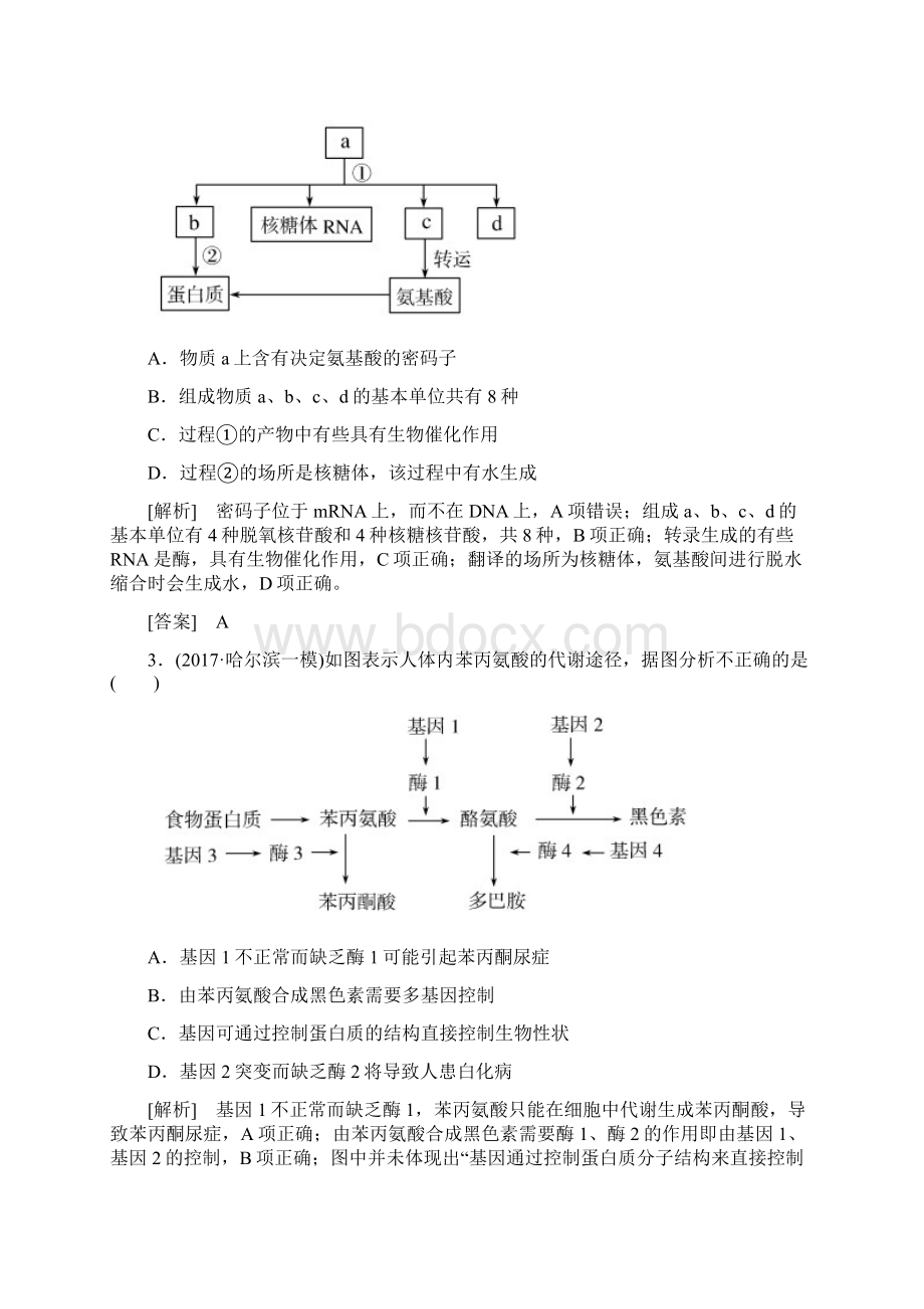 届高考生物二轮复习专题三遗传的分子基础跟踪强化训练8基因的表达14Word文档下载推荐.docx_第2页