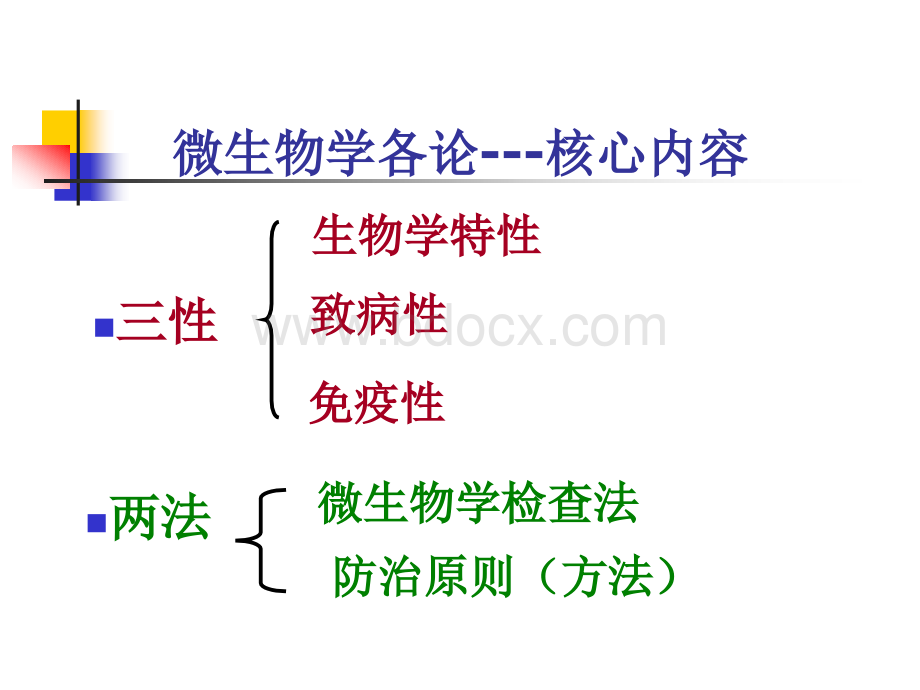 第八章化脓菌PPT课件下载推荐.ppt