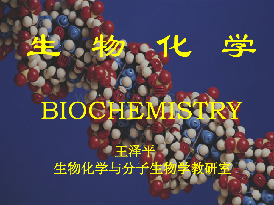 医学生物化学课件.ppt