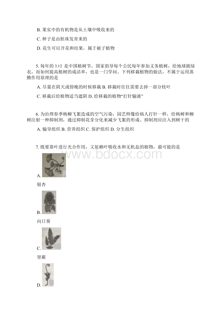 人教版生物七年级上册单元冲刺卷卷附答案第三单元第二章 被子植物的一生.docx_第2页