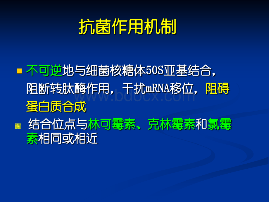 大环类药物PPT文件格式下载.ppt_第3页