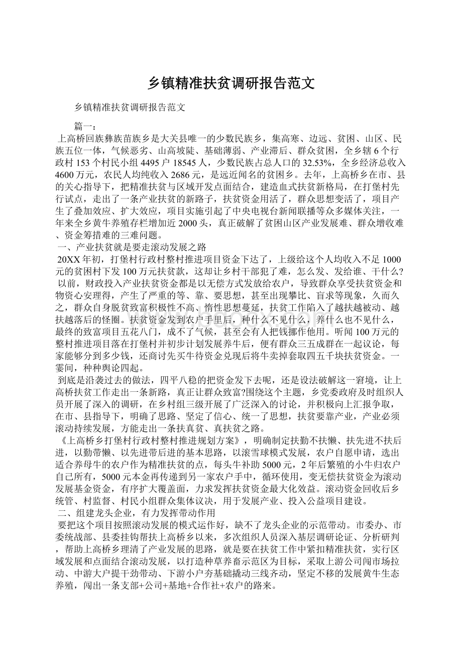 乡镇精准扶贫调研报告范文Word格式.docx