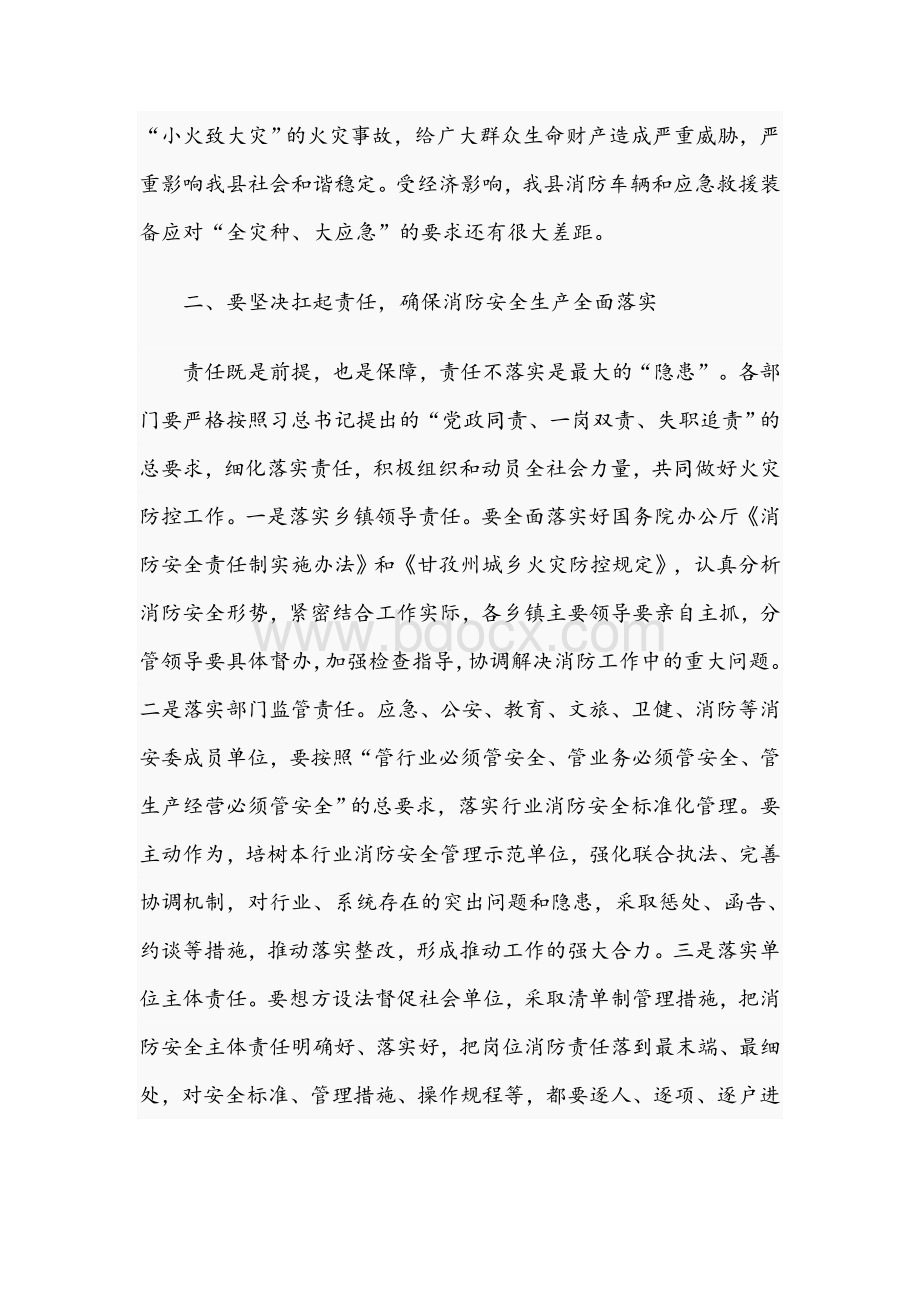 2021年第一次应急委员会会议上的讲话范文稿Word格式文档下载.docx_第2页