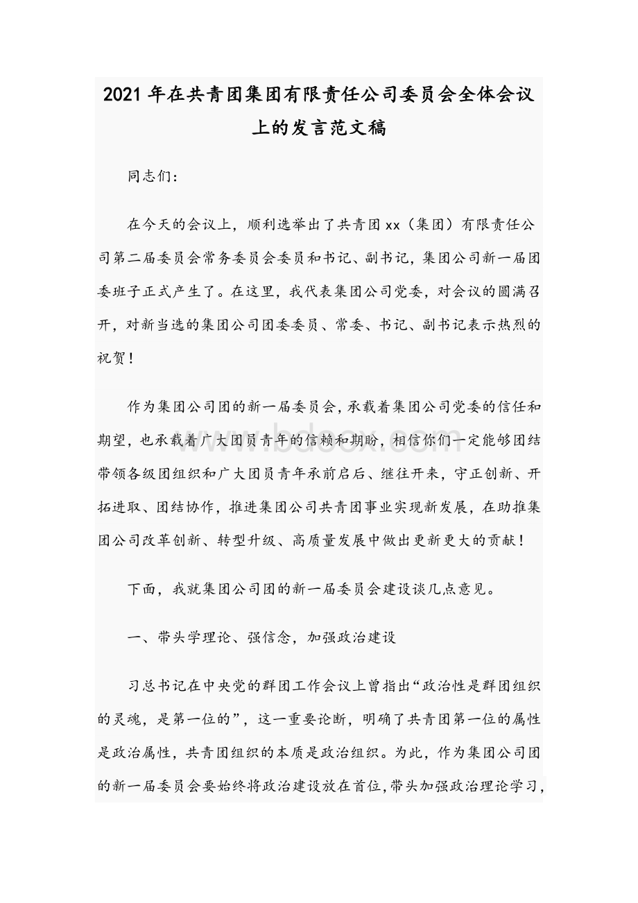 2021年在共青团集团有限责任公司委员会全体会议上的发言范文稿文档格式.docx