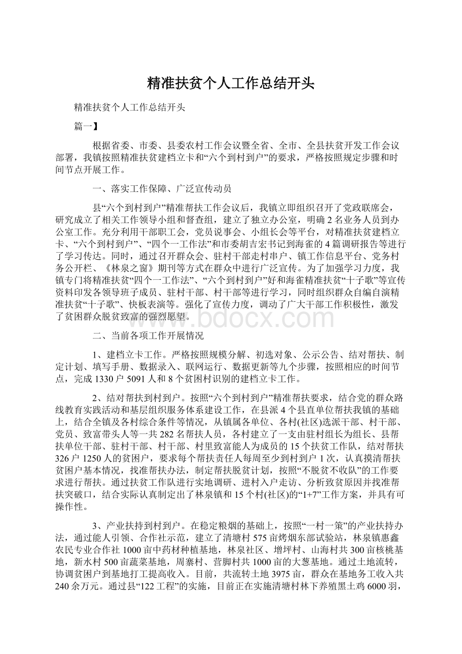 精准扶贫个人工作总结开头Word格式文档下载.docx