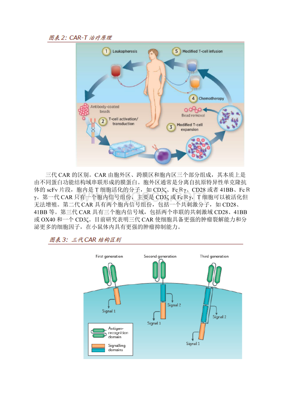 CART细胞治疗血液肿瘤治疗行业分析报告.docx_第3页