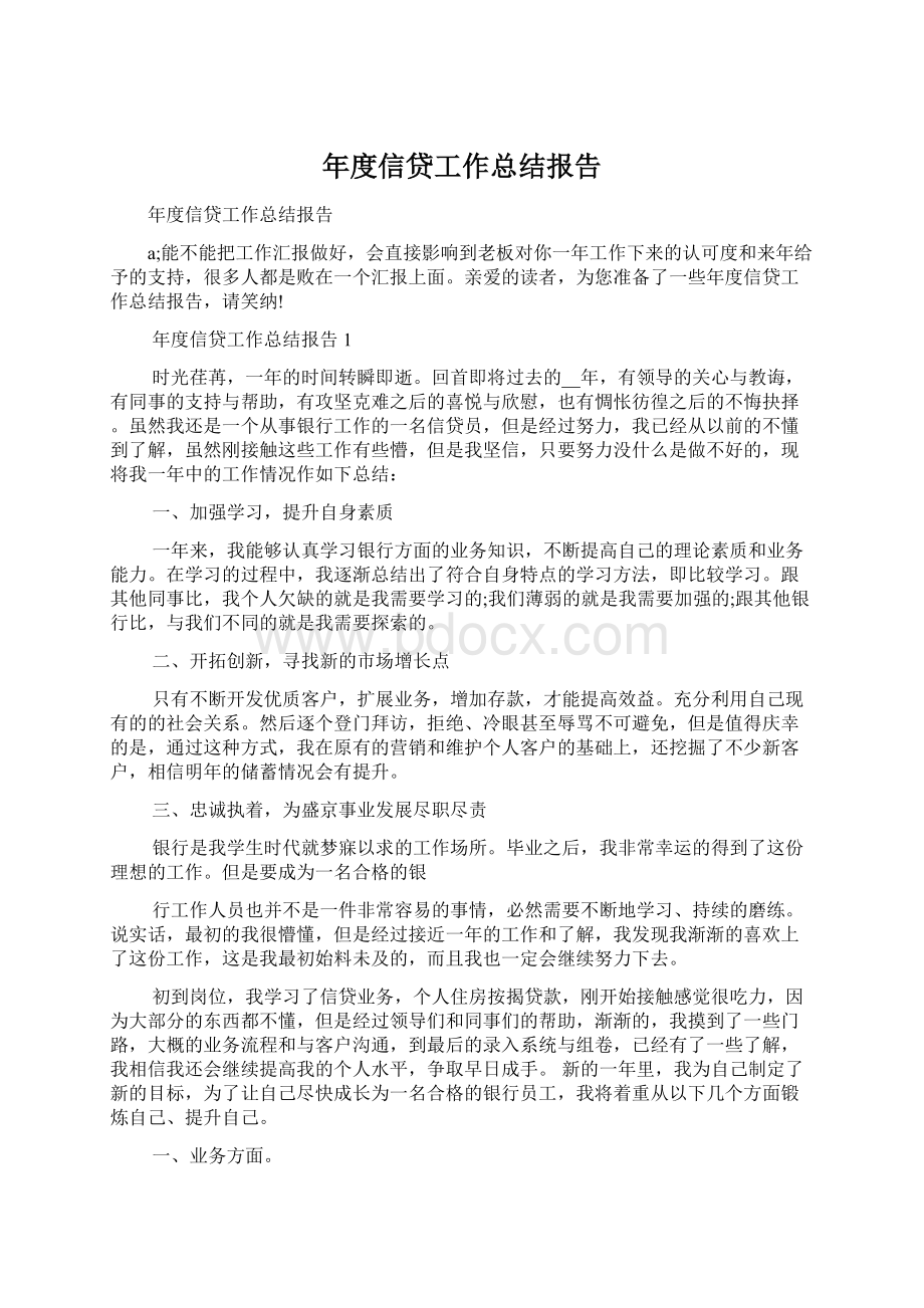 年度信贷工作总结报告文档格式.docx