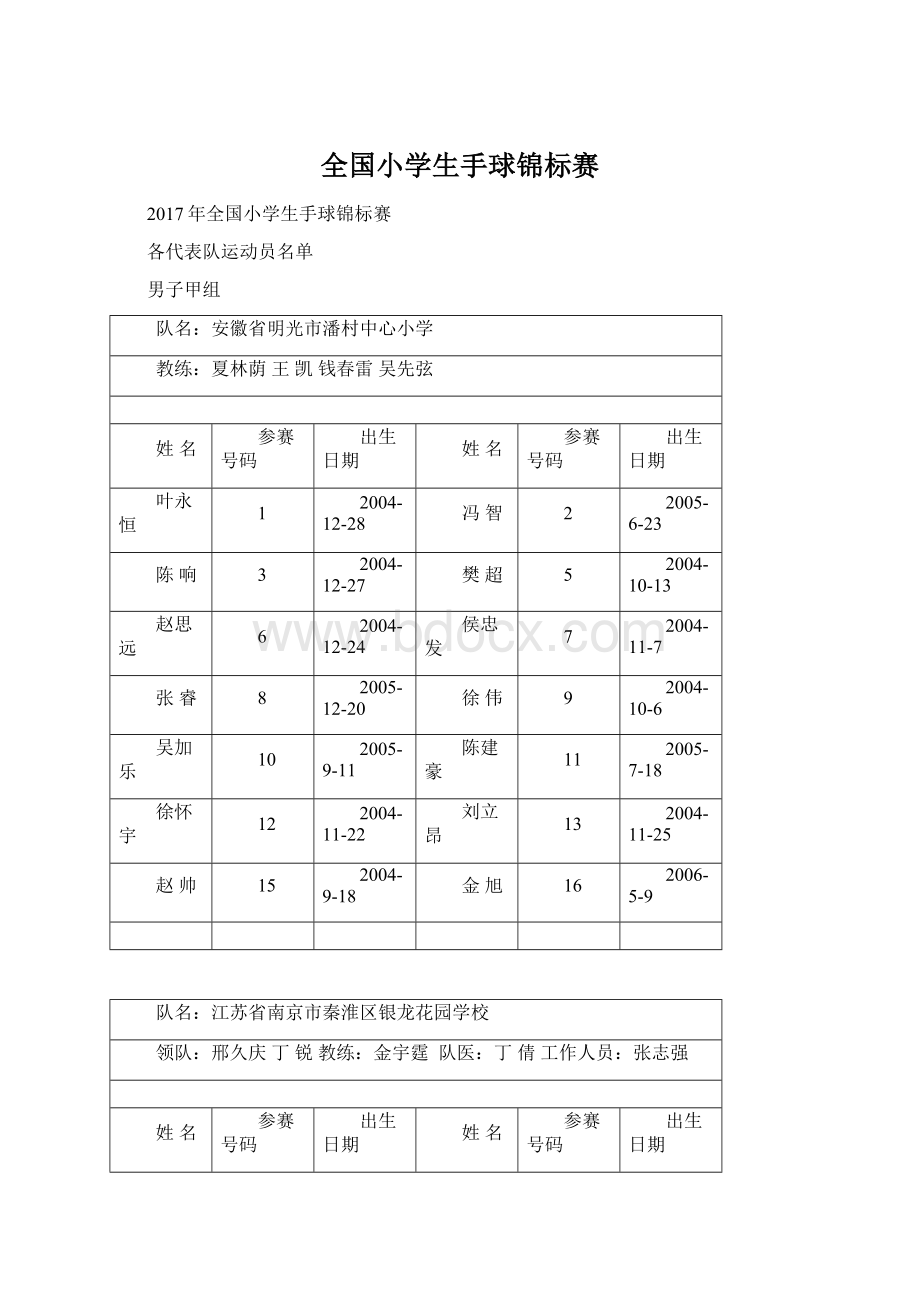 全国小学生手球锦标赛Word格式.docx_第1页