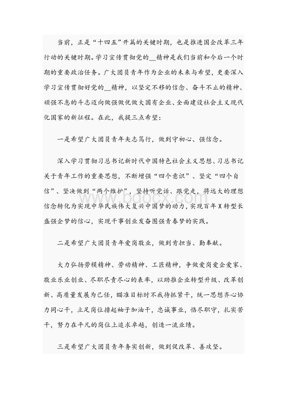 2021年在集团公司第二次团代会上的发言范文稿.docx_第2页