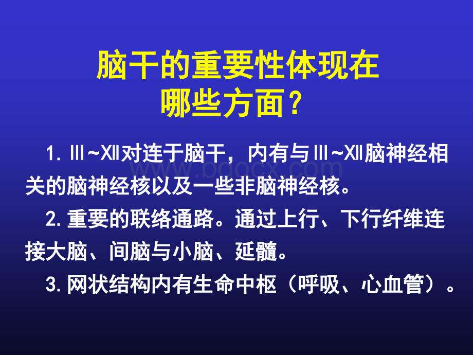 间脑、端脑解剖学要点PPT推荐.ppt_第1页