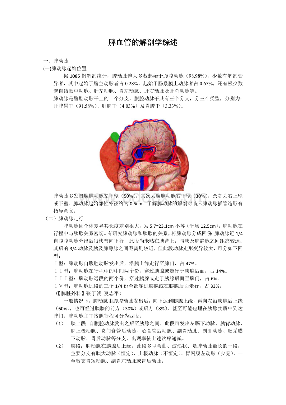 脾血管的解剖学综述.doc