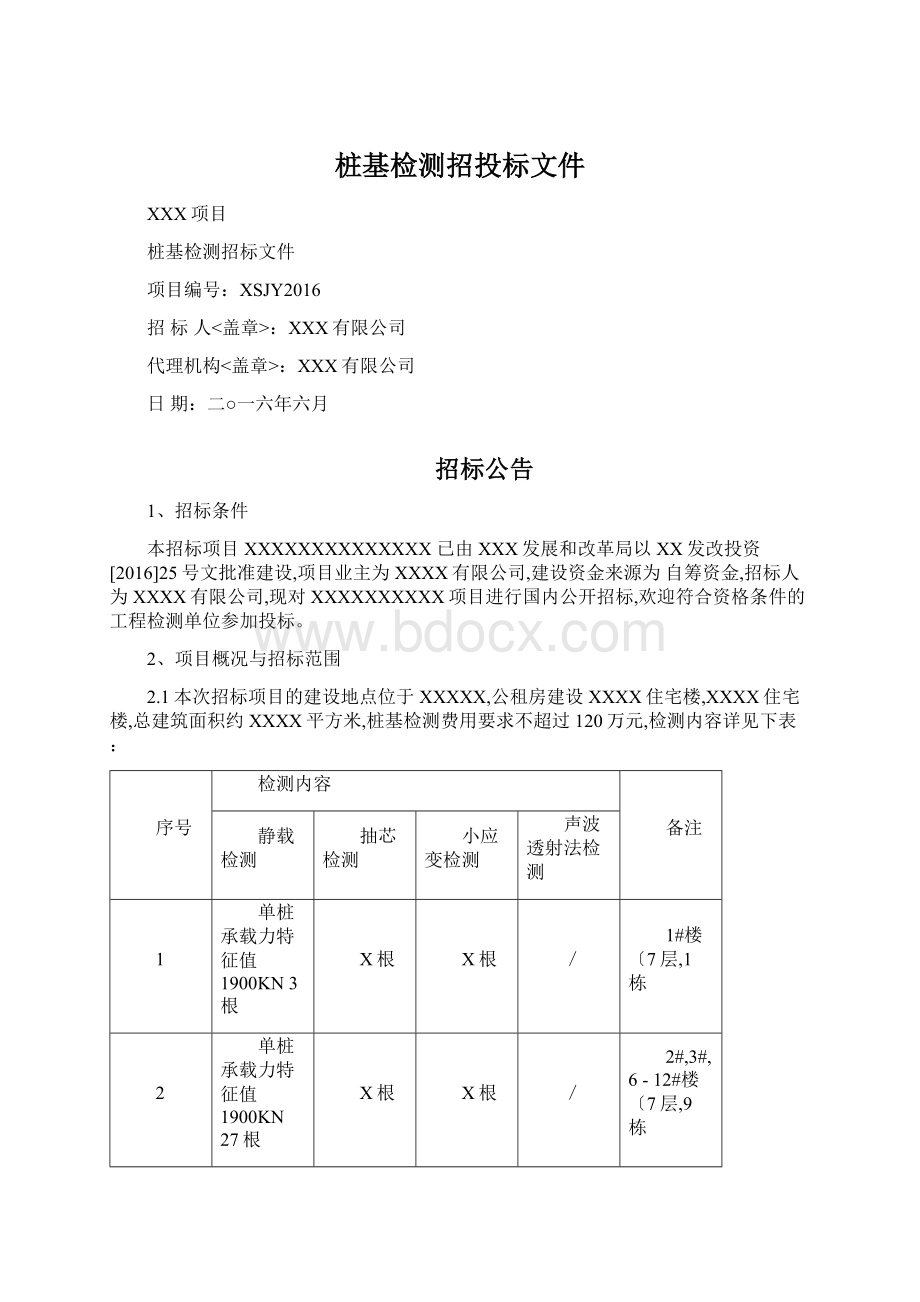 桩基检测招投标文件Word文档格式.docx_第1页