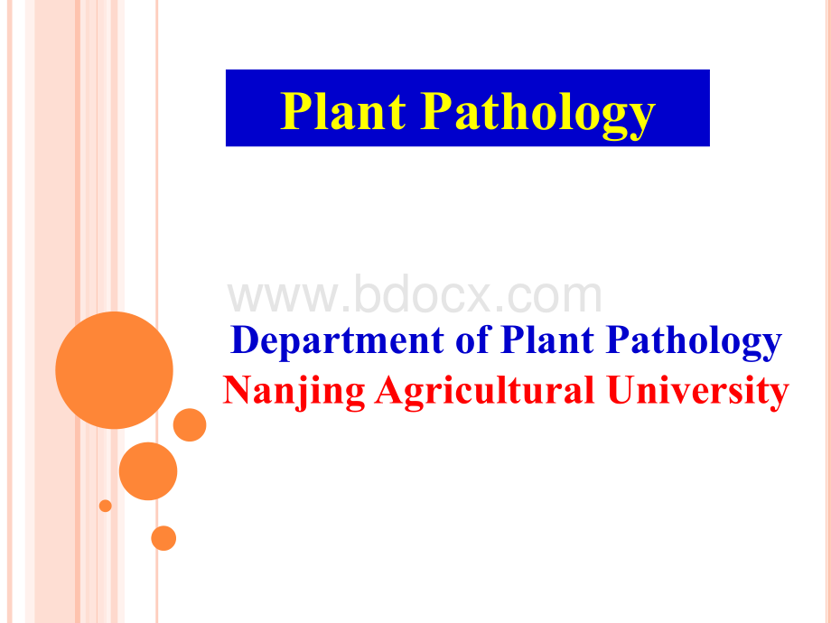 植物保护专业英语.ppt_第1页