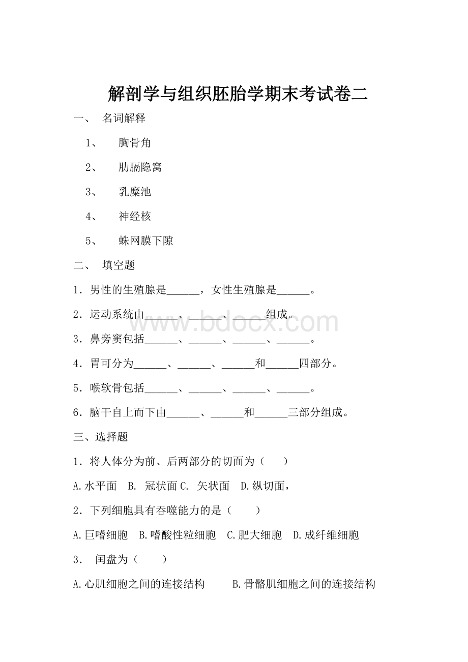 解剖学与组织胚胎学期末考试卷二Word文件下载.doc