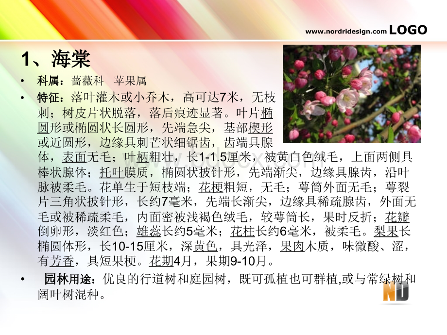 植物分类优质PPT.ppt_第2页