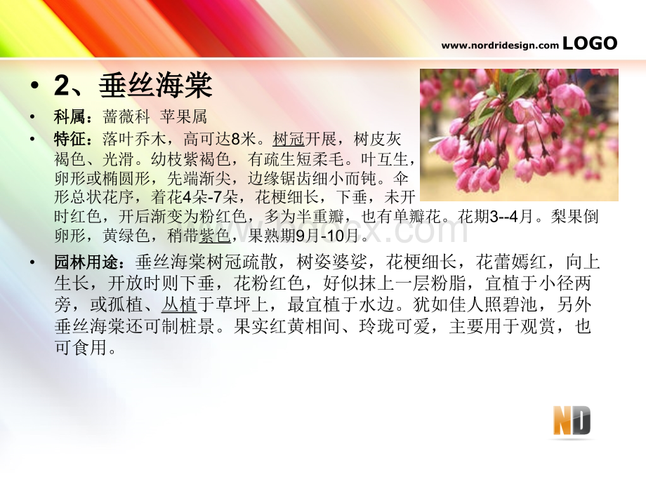 植物分类优质PPT.ppt_第3页