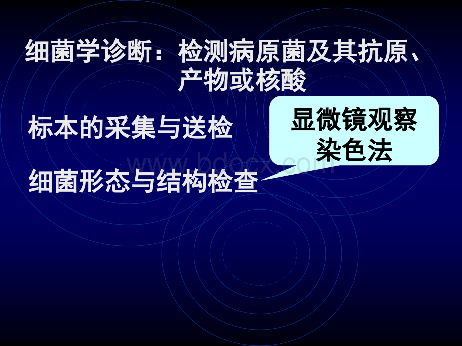 诊断与防治耐药性PPT格式课件下载.ppt_第3页